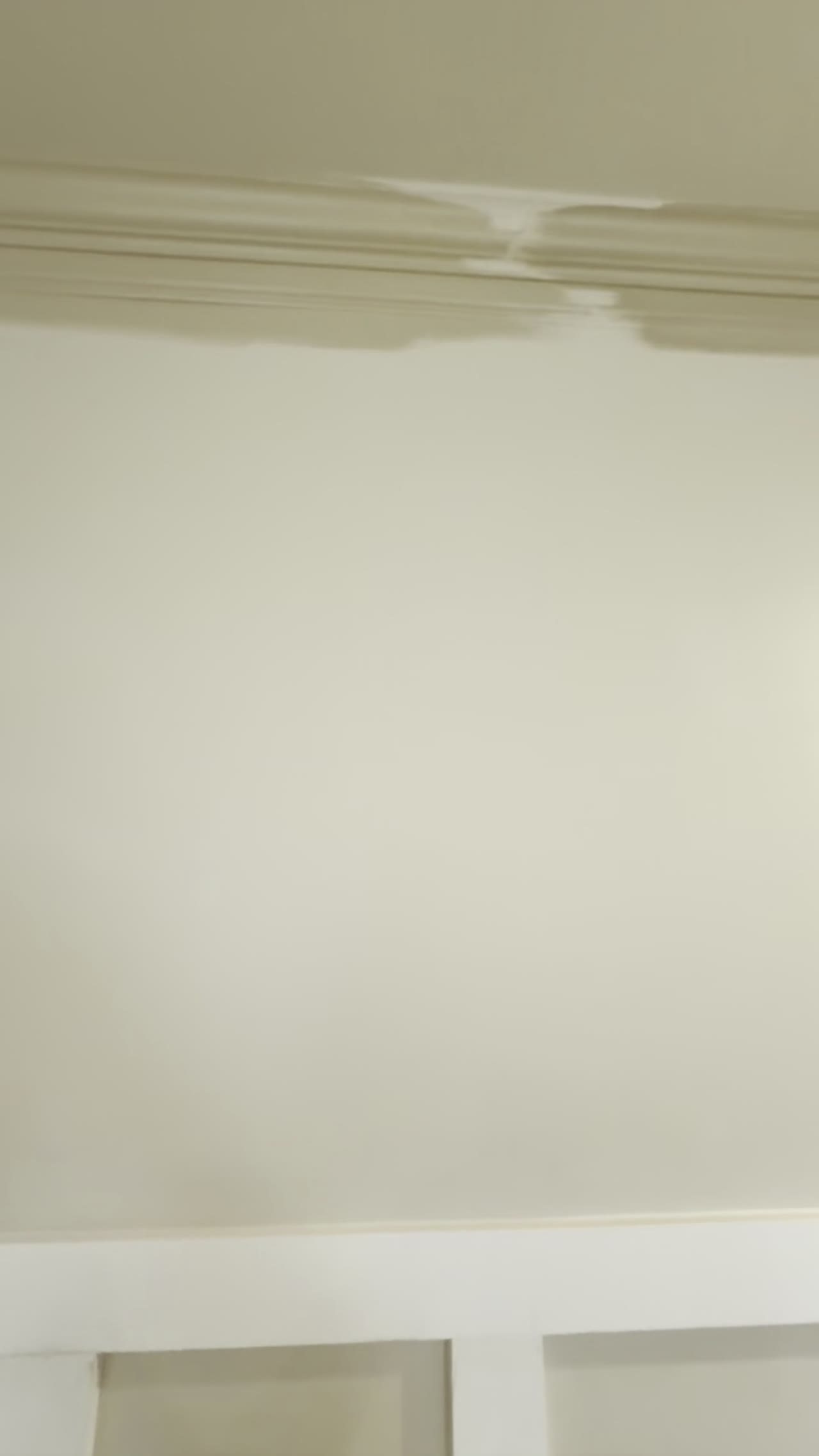 Close-up of crisp painted crown molding